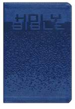 Load image into Gallery viewer, NIrV Large-Print Bible for Kids - Blue