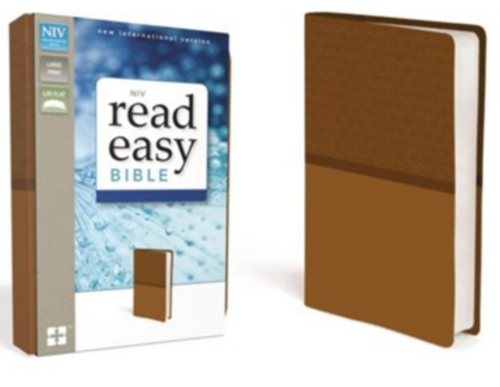 NIV Read Easy Bible